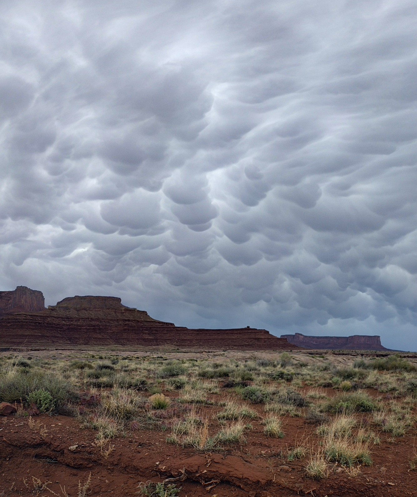 wp-1462209872951 image