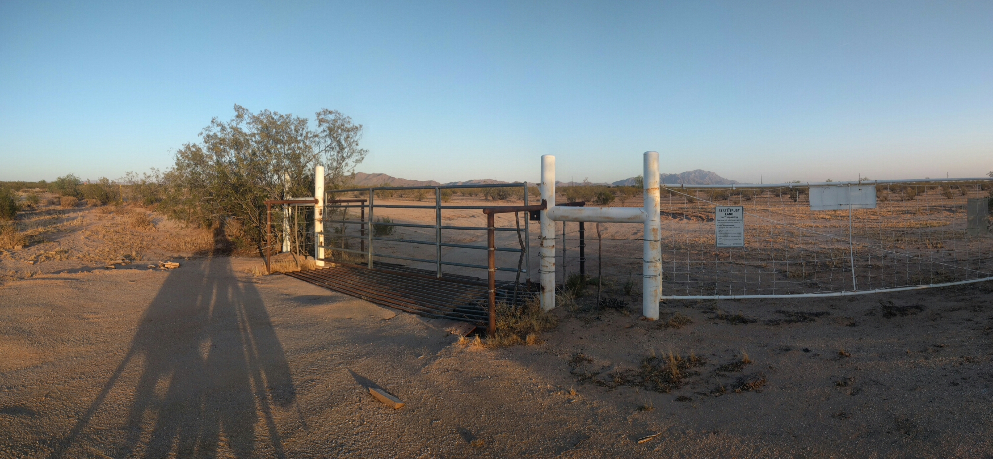 wp-1463859173730 image