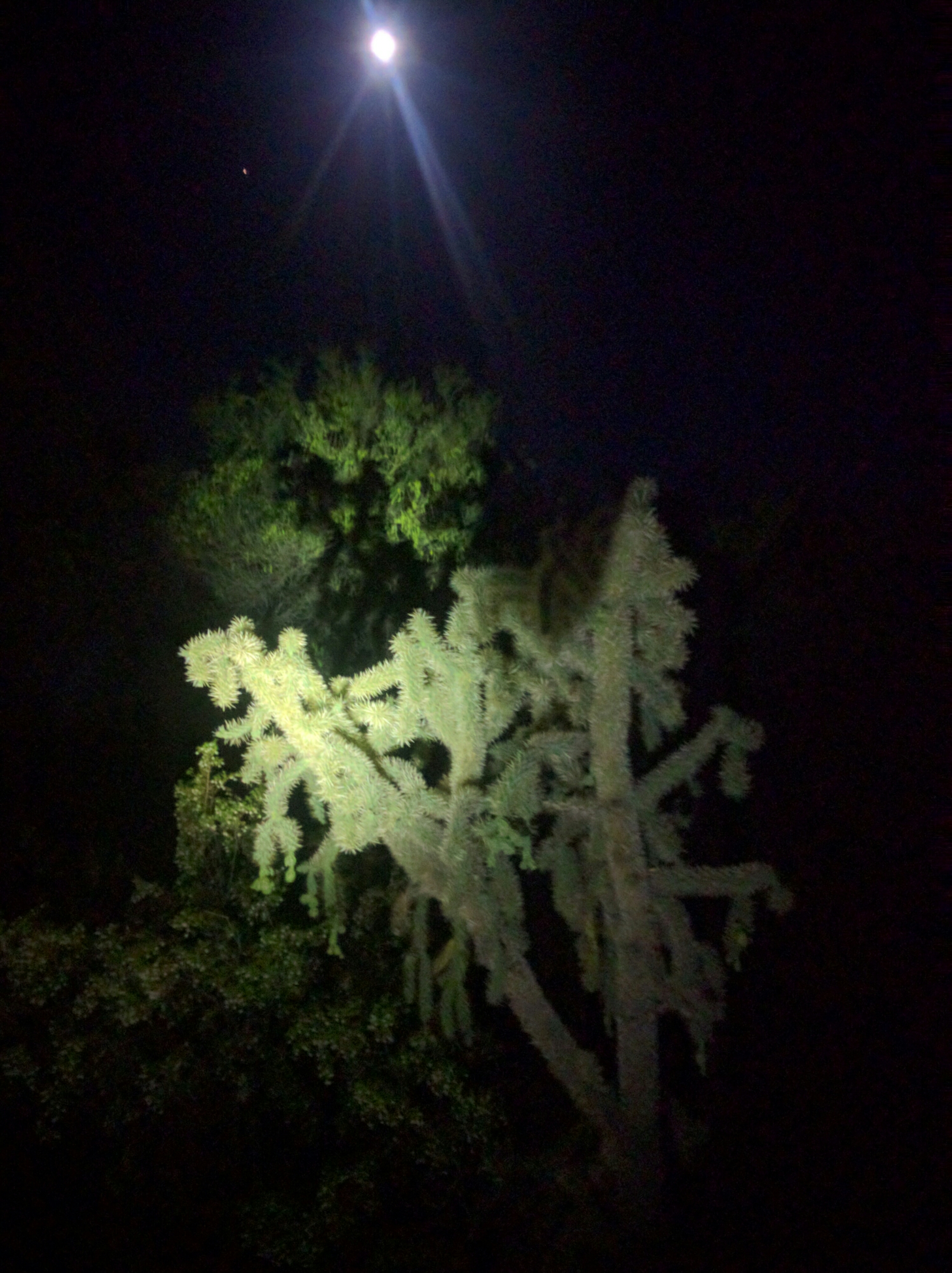 wp-1463859275135 image