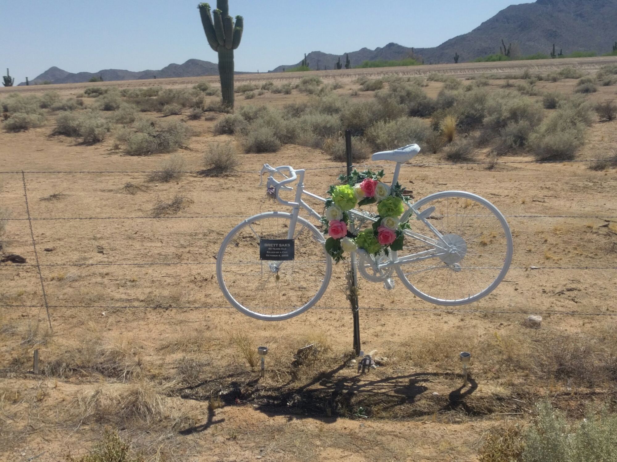 wp-1463859338126 image