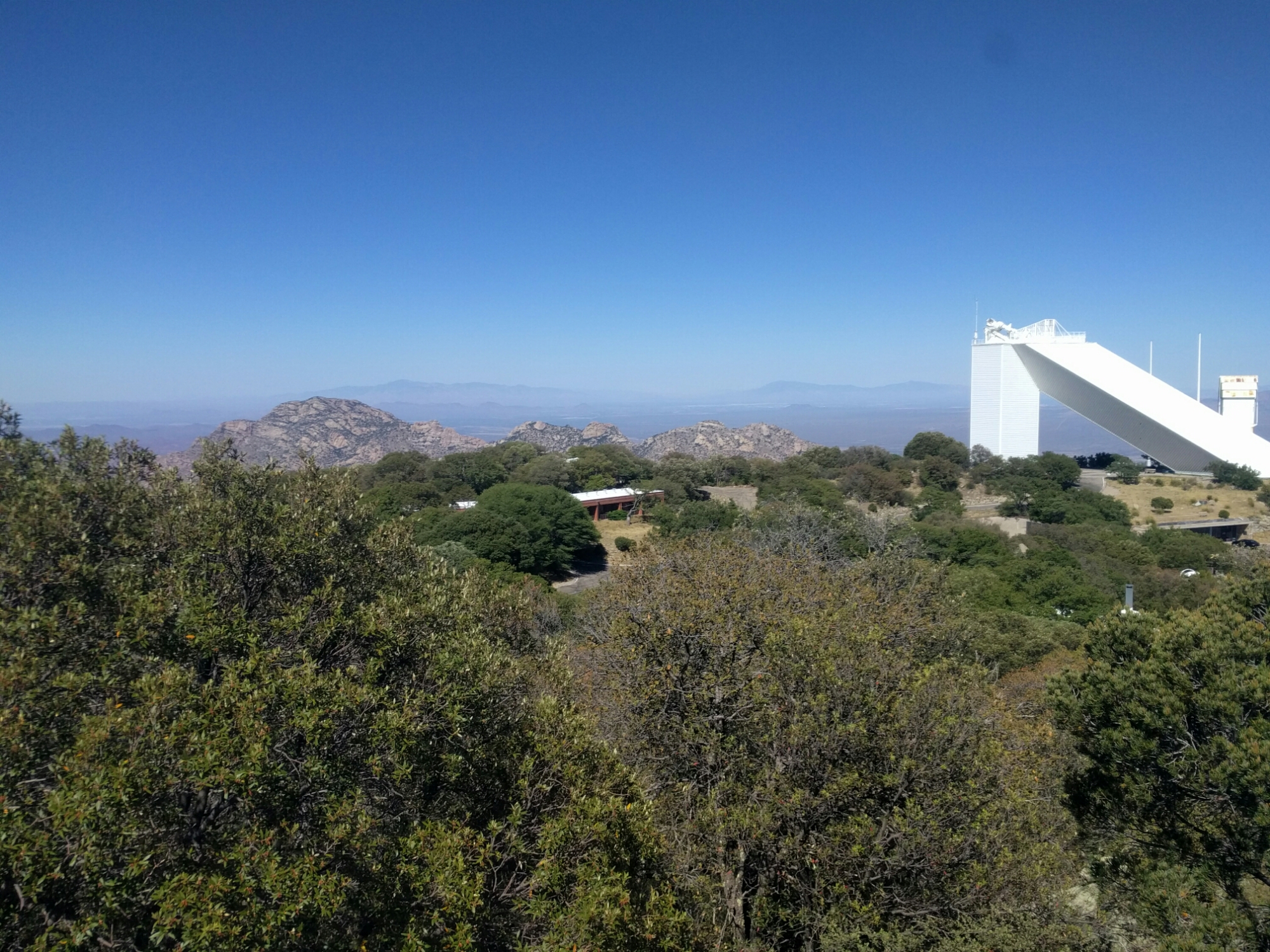 wp-1464137586482 image