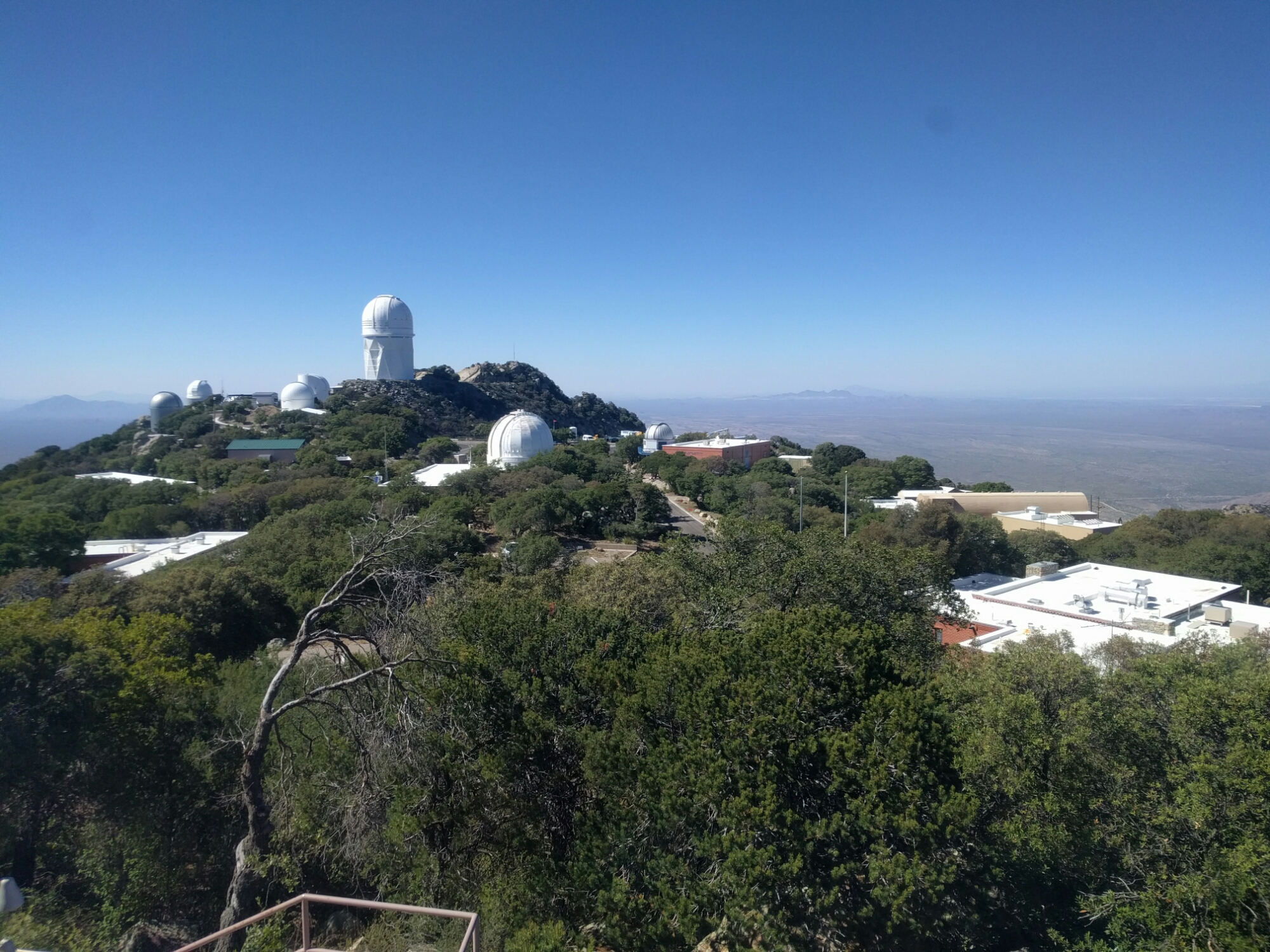 wp-1464137616557 image