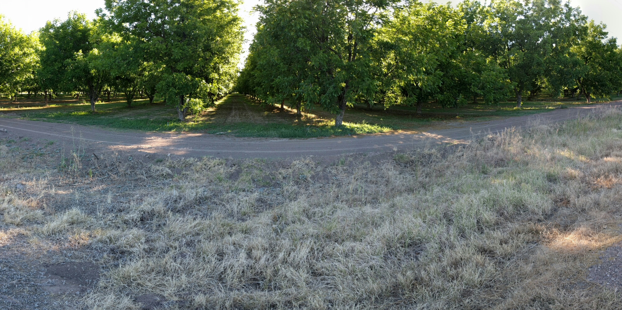 wp-1464137808200 image