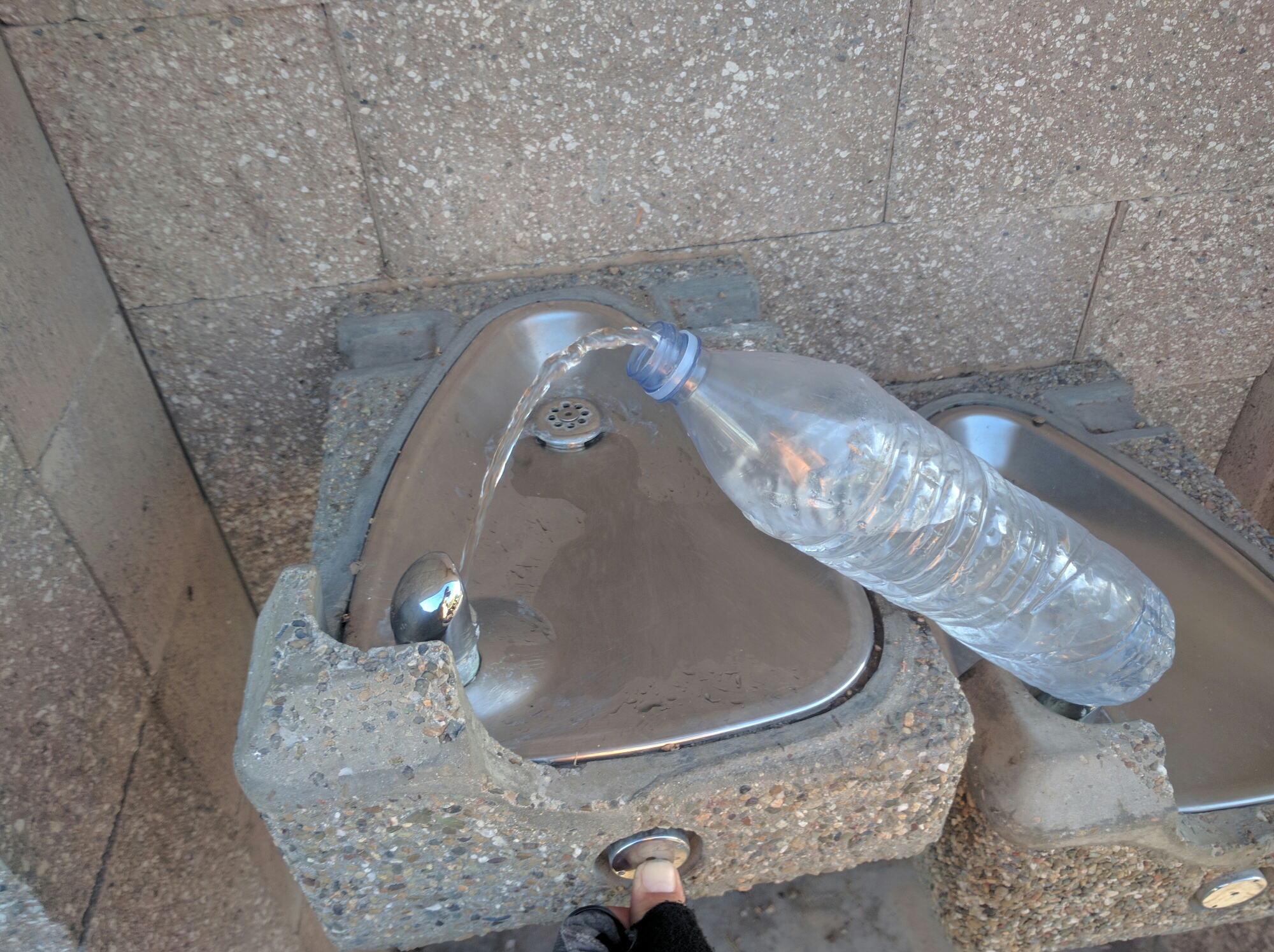 wp-1464137847819 image