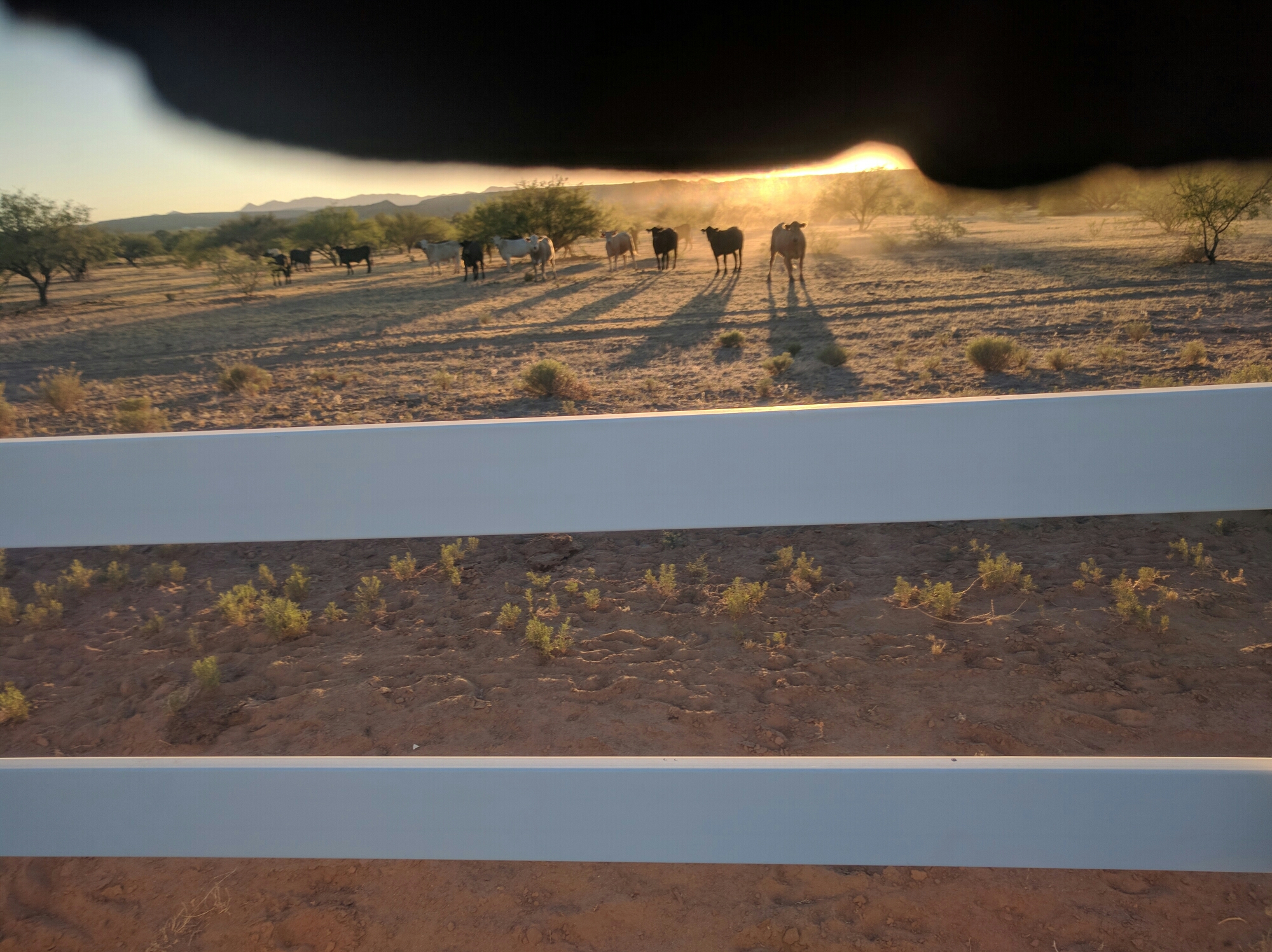 wp-1464139366805 image