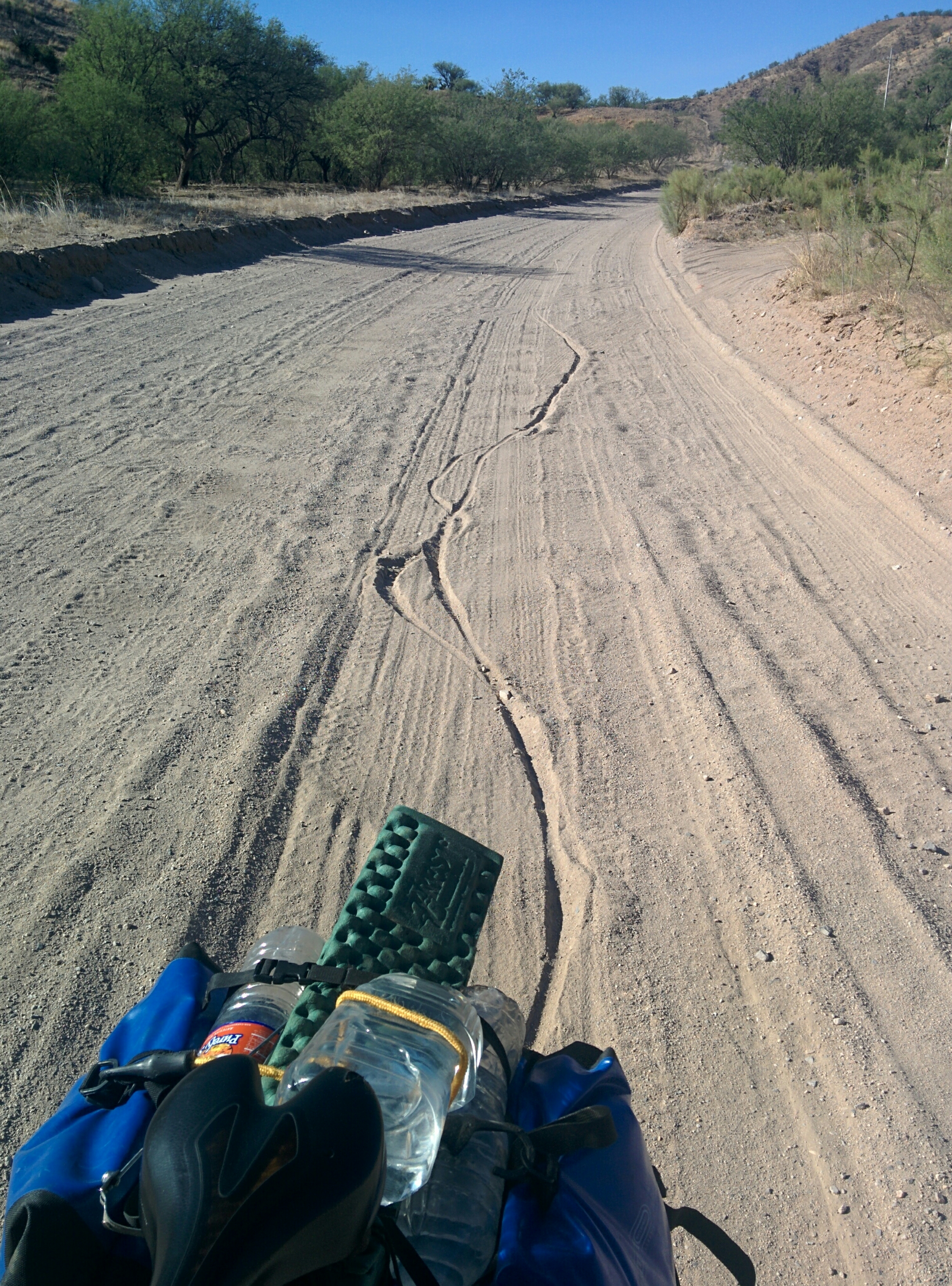 wp-1464324893156 image