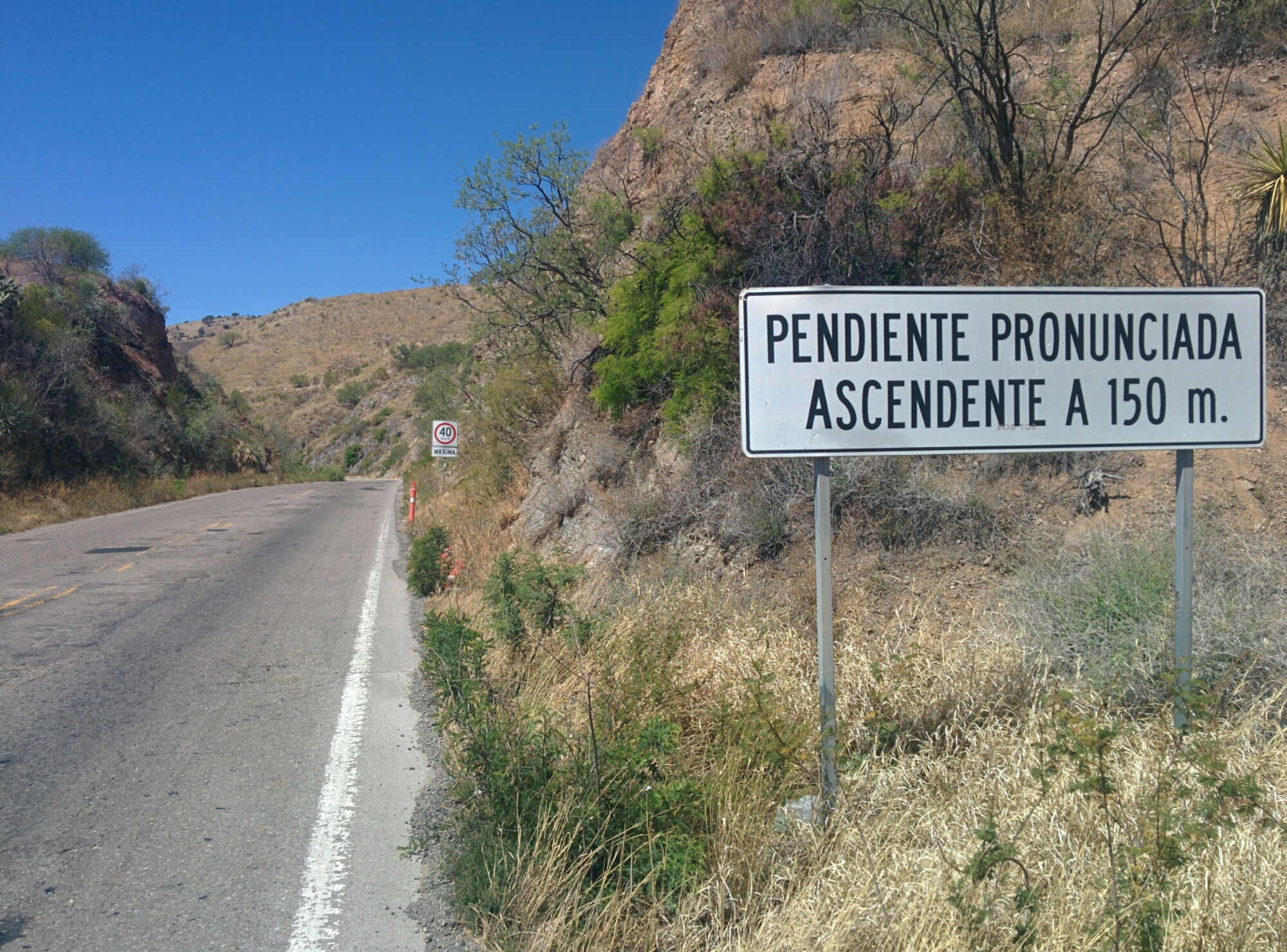 wp-1464325302436 image