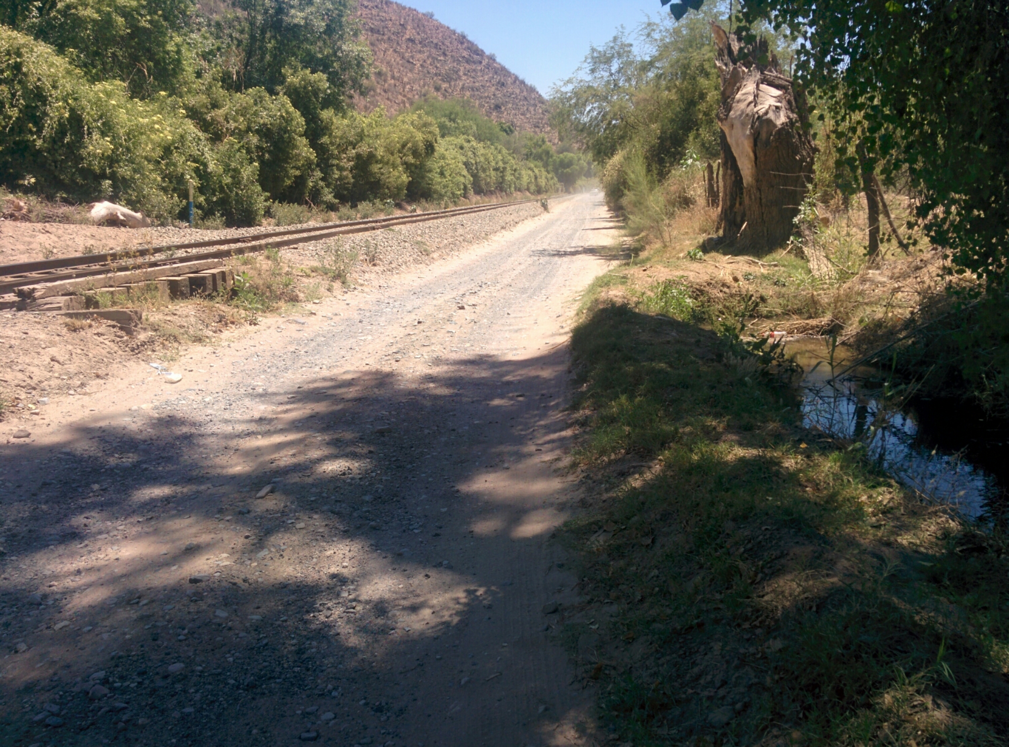 wp-1464328262113 image